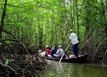 Visitors in a wooden boat on a mangrove channel in Can Gio